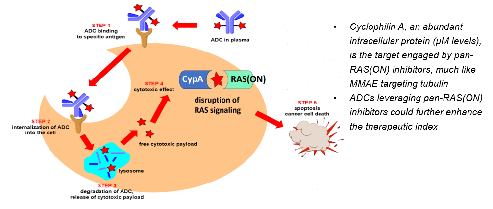 RAS inhibitor conjugated antibody (RASiCA<sup>TM</sup>)